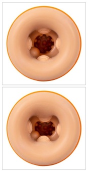 Мастурбатор для головки полового члена Glans Masturbator with 2 Functions