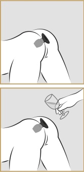 Полая анальная пробка Open Wide Tunnel Plug средняя - 7,2 см