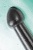 Черный нереалистичный фаллоимитатор Jelly Dildo L - 20 см. Черный нереалистичный фаллоимитатор Jelly Dildo L - 20 см.