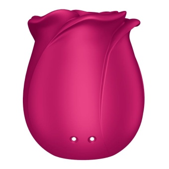 Вакуумный стимулятор Satisfyer Pro 2 Classic Blossom с дополнительной насадкой розовый
