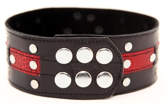 Чёрно-красный ошейник с клёпками