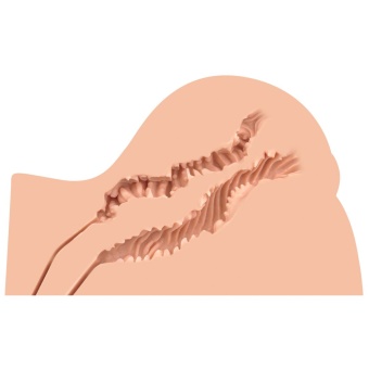 Мастурбатор-полуторс Naked Factory Kate