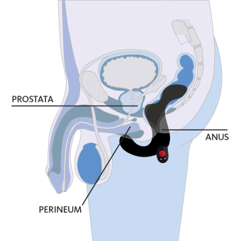 Вибростимулятор простаты Fun Factory Duke бирюзовый