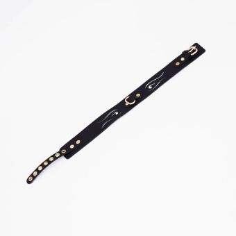 Черный кожаный ошейник с золотистой фурнитурой